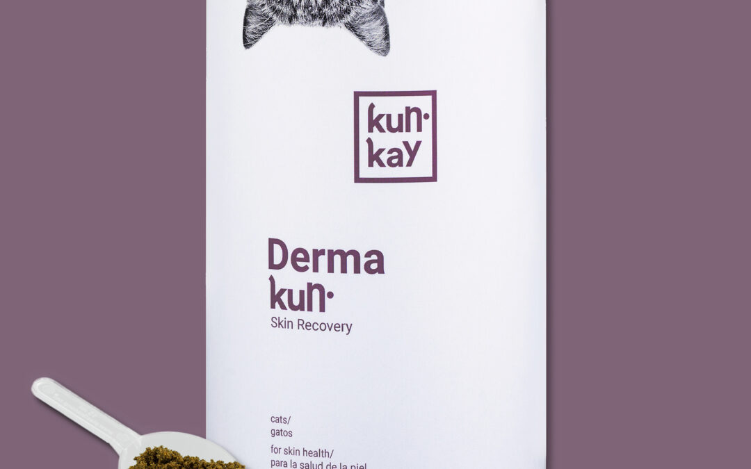 DERMAKUN GATS SUPLEMENT DE SALUT DE LA PELL I PÈL