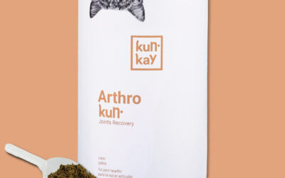 ARTHROKUN GAT SUPLEMENT PER LA SALUT ARTICULAR