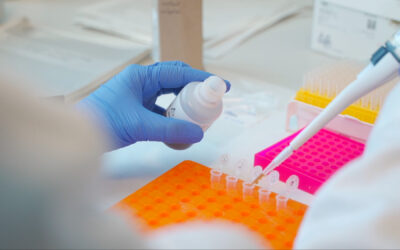 Identifiquen potencials biomarcadors que assenyalen la transició a la menopausa i podrien obrir el camí a millorar la salut i el benestar de les dones