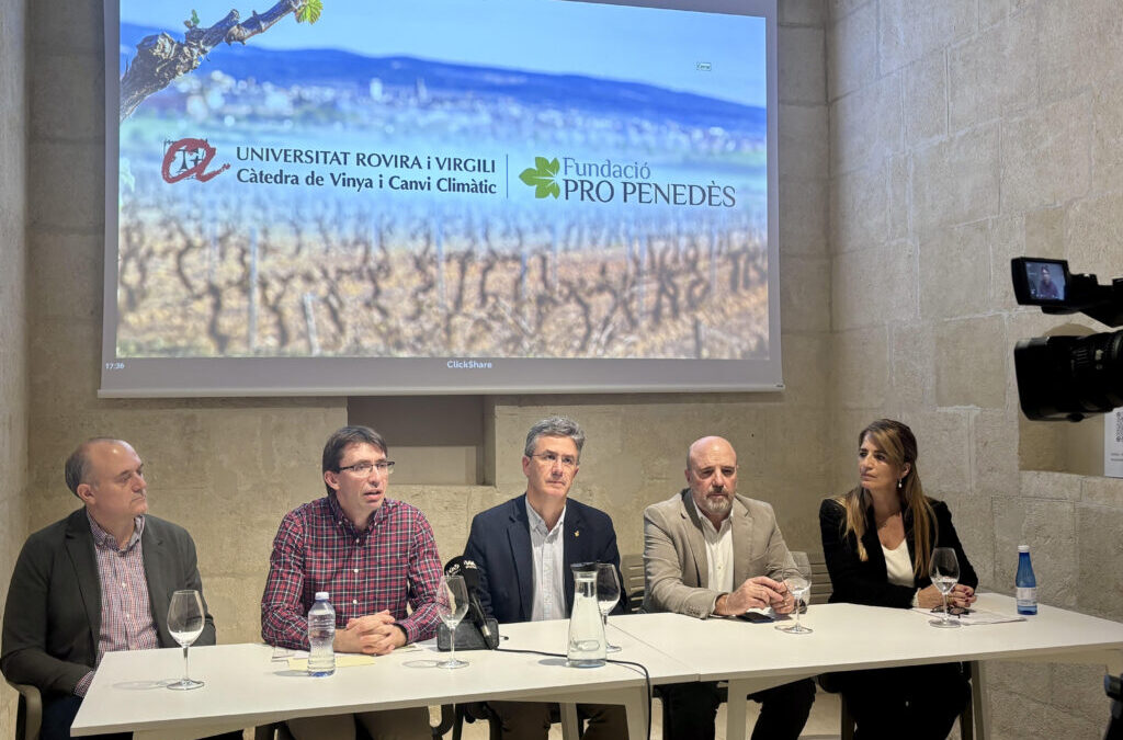 La Càtedra de la Vinya i el Canvi Climàtic es presentarà al Congrés Internacional ACE d’Enologia i patrocina el Premi Sostenibilitat al Most Festival