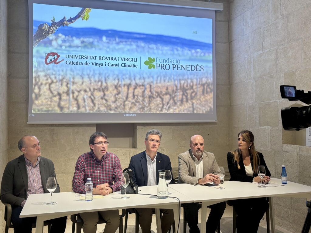 ActivitatsCatedra2025-2-1024×768 Càtedra de la Vinya i el Canvi Climàtic URV