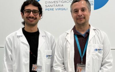 La dieta mediterrània afavoreix el cervell adolescent i els ultraprocessats el perjudiquen