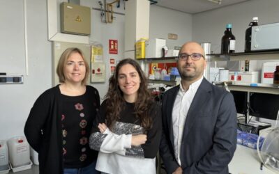 Descoberta una nova espècie que pot augmentar fins a un 30% el rendiment dels cultius